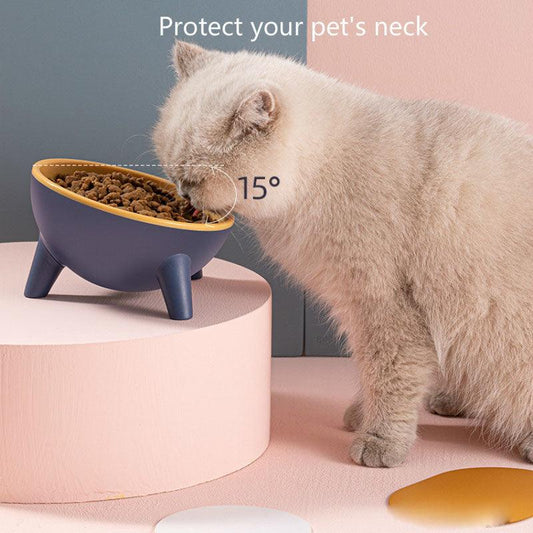 Stylish Paws Nordic Color Pet Feeding Bowl With Stand lifestyle product image