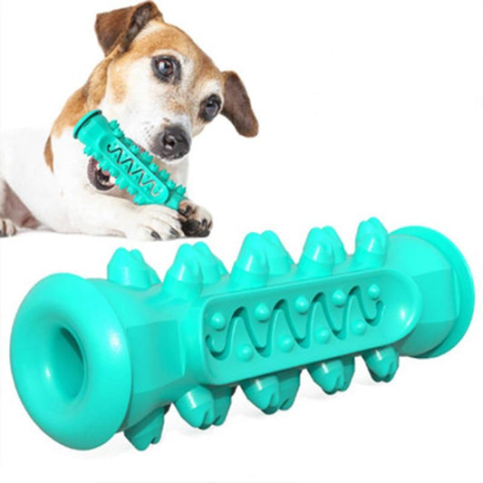 Chewing Toy for Dogs lifestyle product image