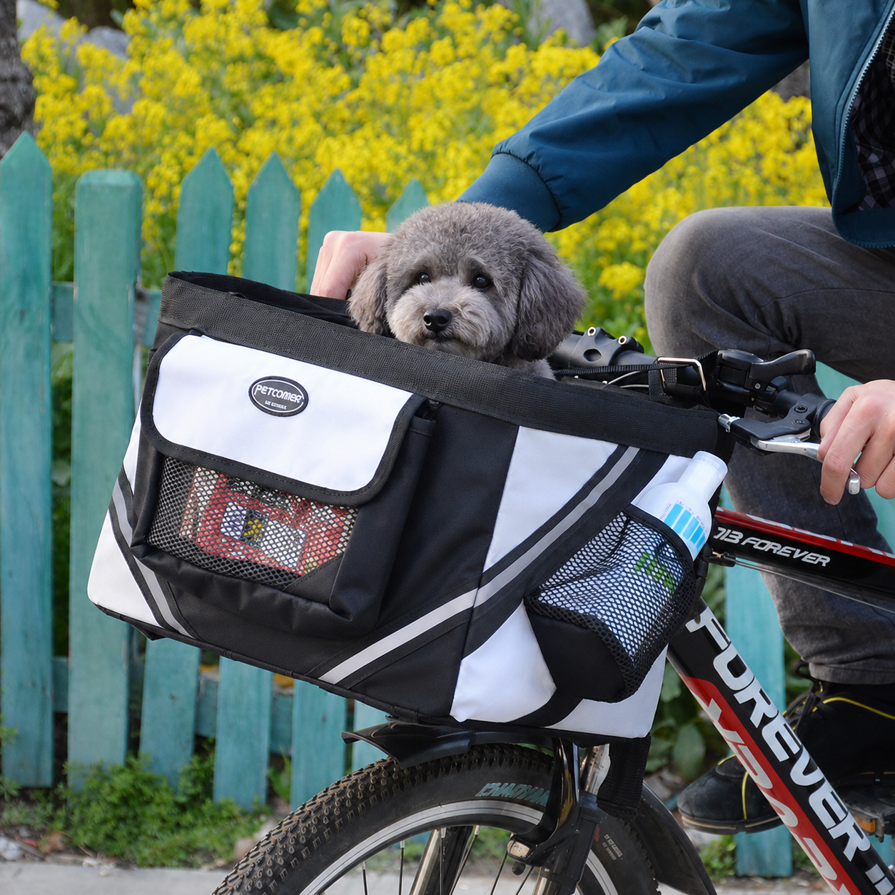 BikePaws Pet Traveler – Removable Front Bicycle Carrier for Small Dogs & Cats lifestyle product image