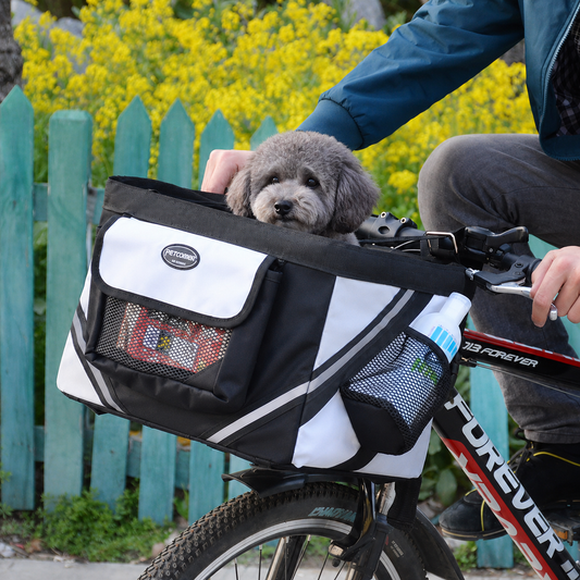 BikePaws Pet Traveler – Removable Front Bicycle Carrier for Small Dogs & Cats lifestyle product image