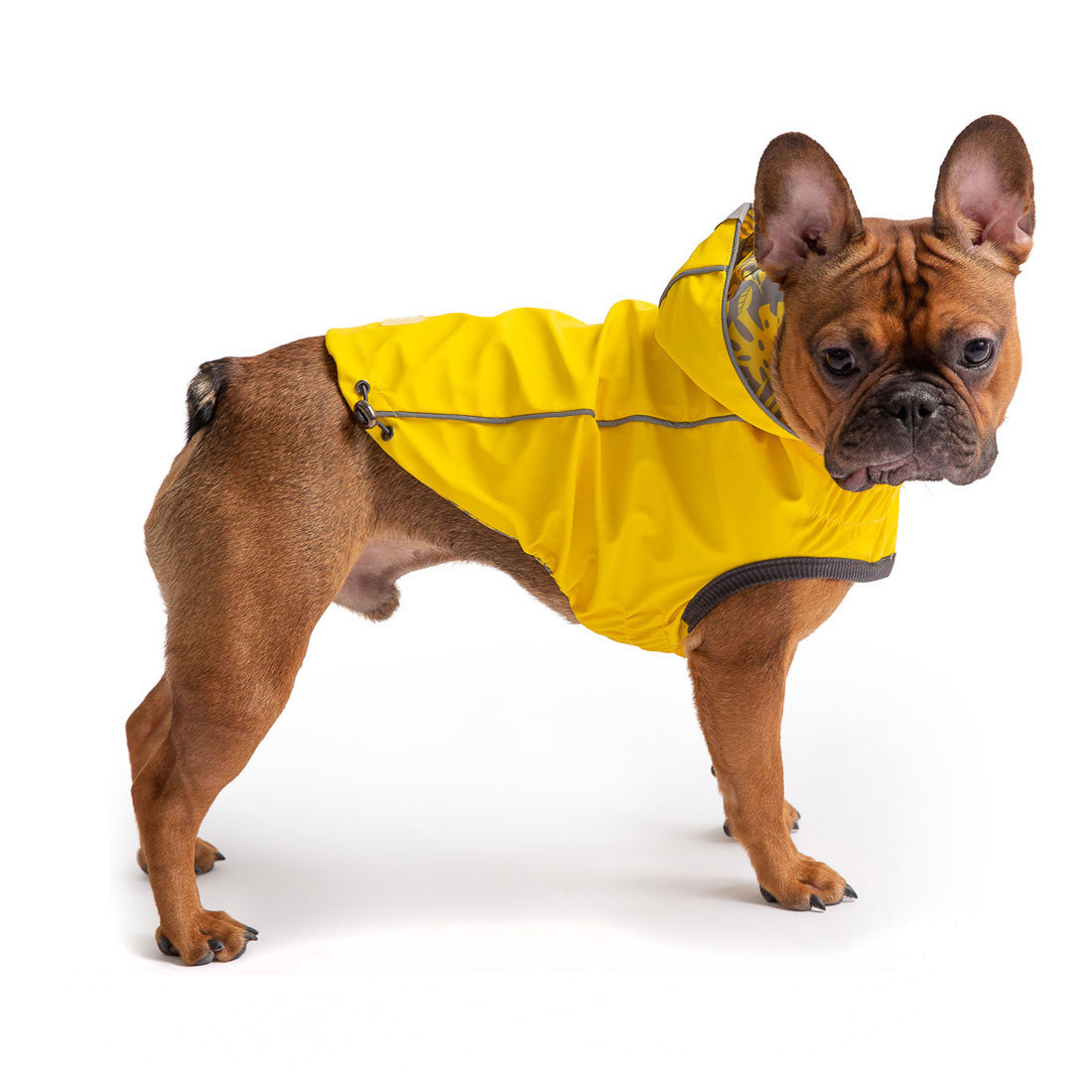 Waterproof Dog Raincoat with Hood – Reversible Reflective Pet Jacket lifestyle product image