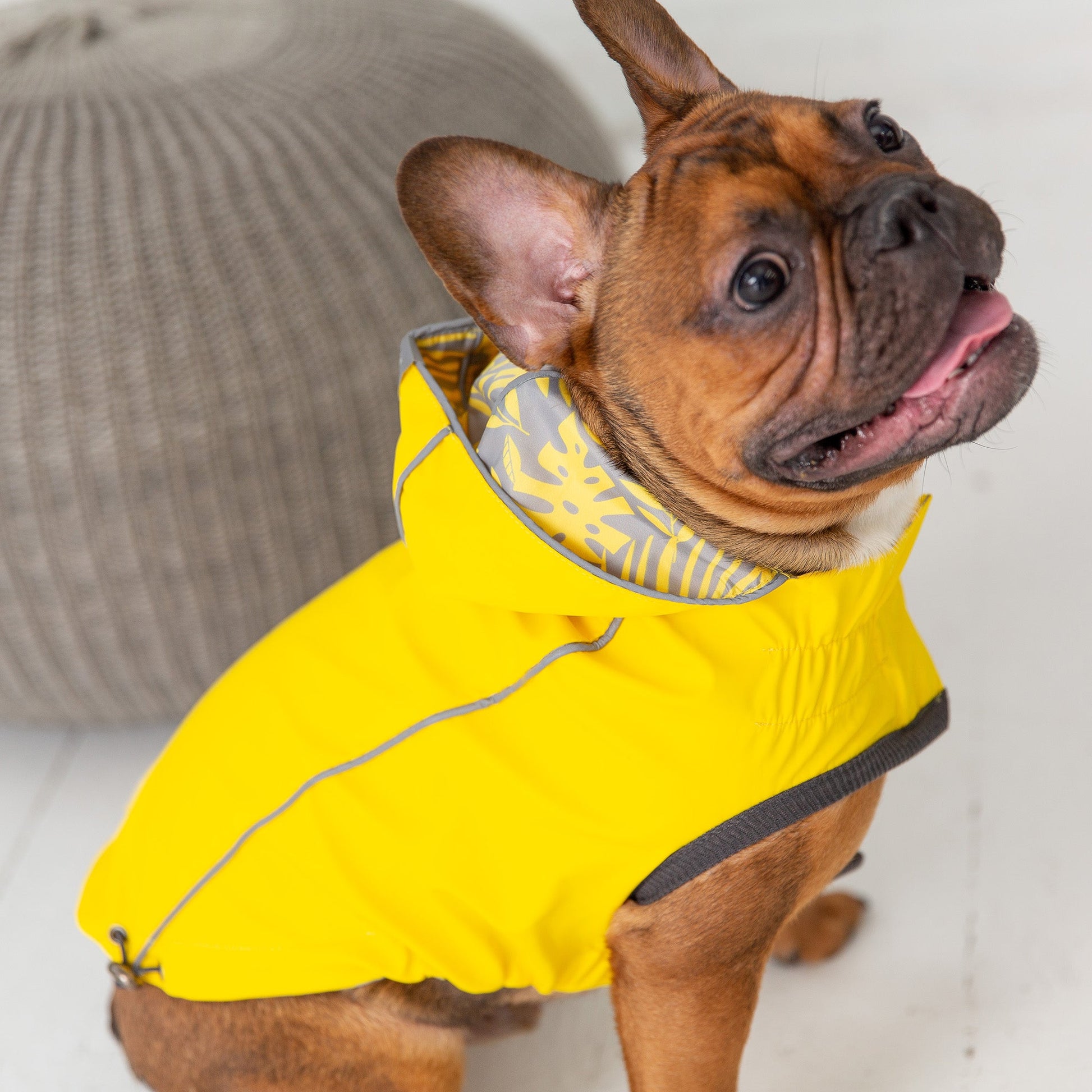 Waterproof Dog Raincoat with Hood – Reversible Reflective Pet Jacket lifestyle product image