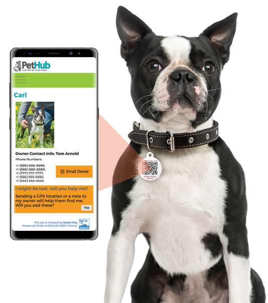 QR Pet ID Tag lifestyle product image