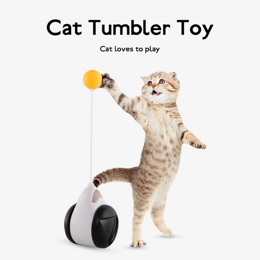 Tumbler Balanced Wheel Swinging Ball Cat Toy lifestyle product image
